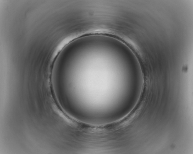 X0000092001374200709061430
