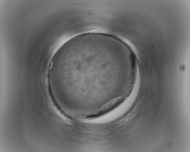 X0000092001375200709061430