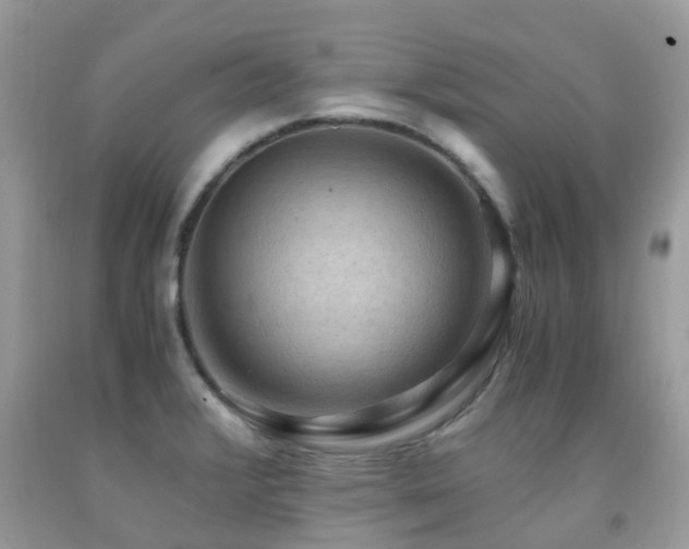 X0000092001376200709061430