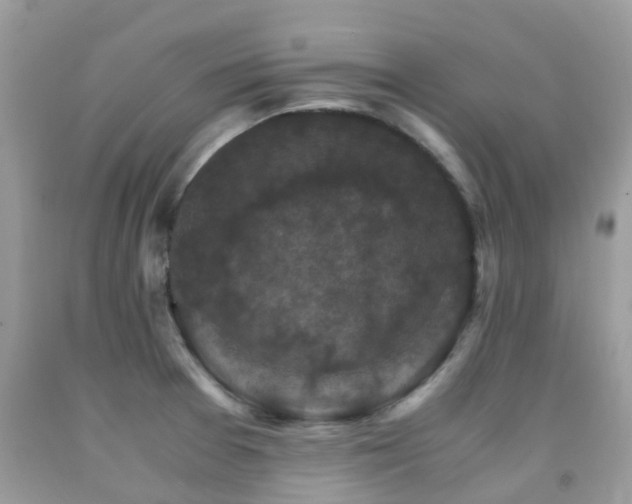 X0000092001377200709061430