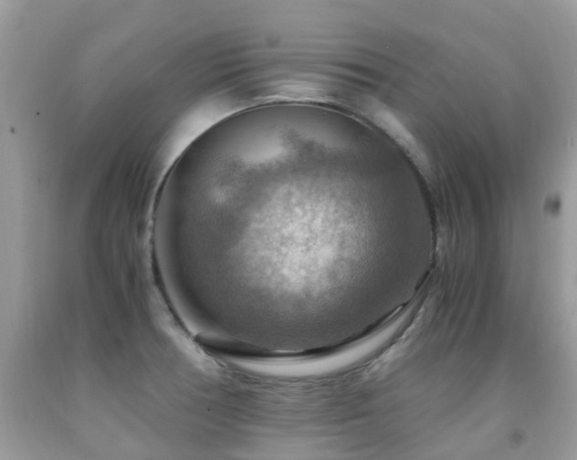 X0000092001378200709061430