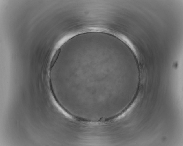 X0000092001381200709061430