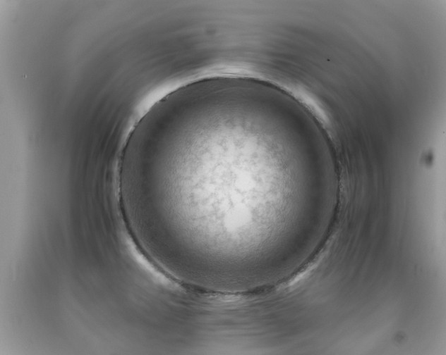 X0000092001382200709061430