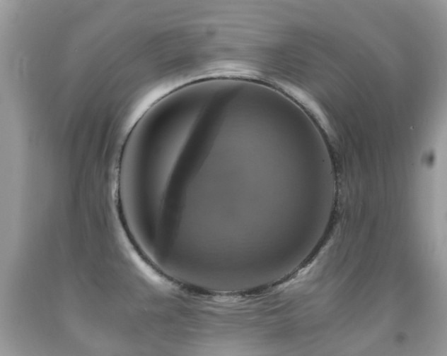 X0000092001383200709061430