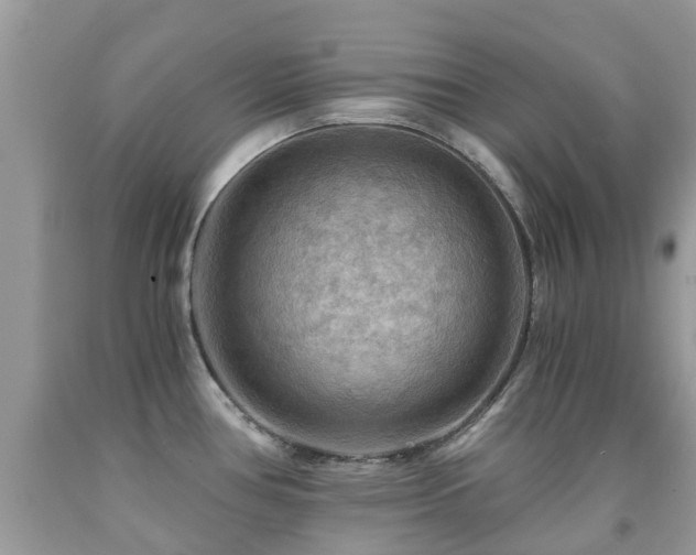 X0000092001386200709061430