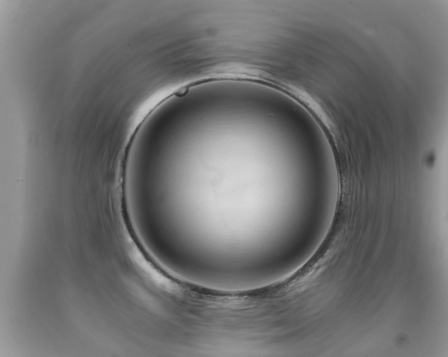 X0000092001387200709061430