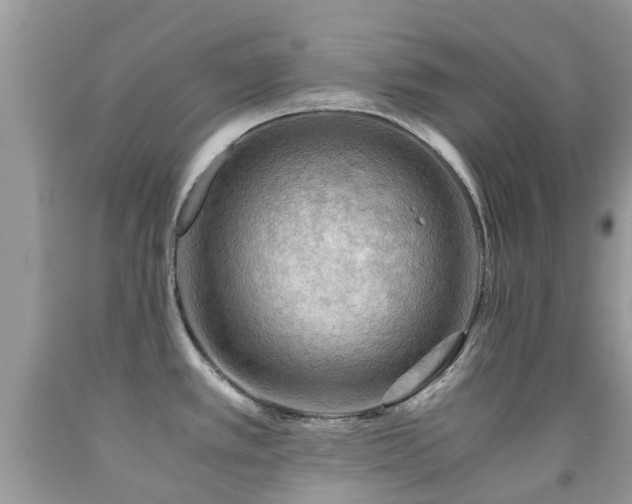 X0000092001389200709061430