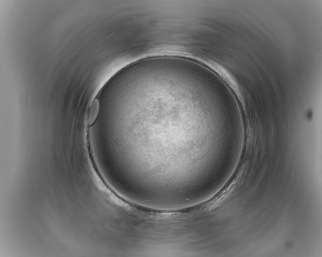X0000092001390200709061430