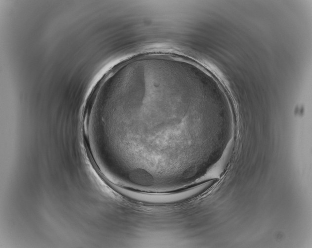 X0000092001392200709061430