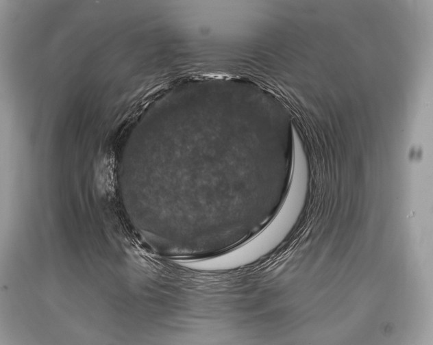 X0000092001394200709061429