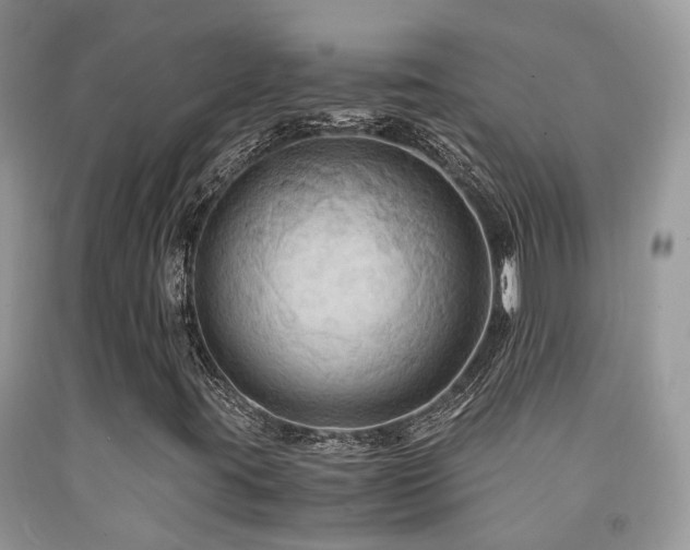 X0000092001395200709061429