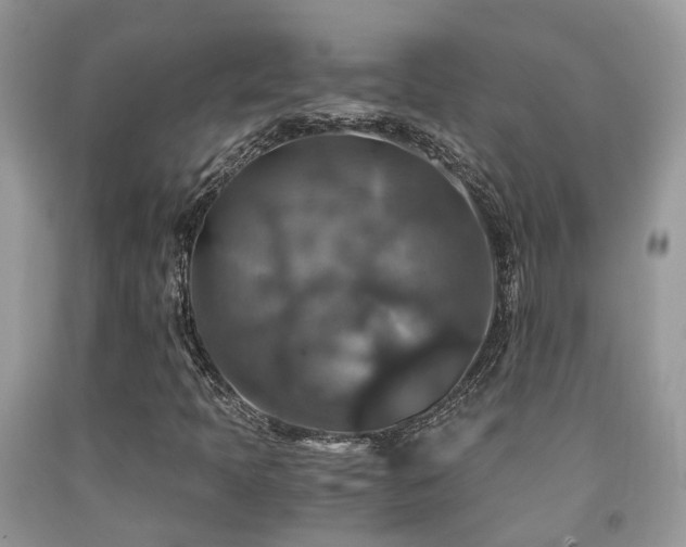 X0000092001397200709061429