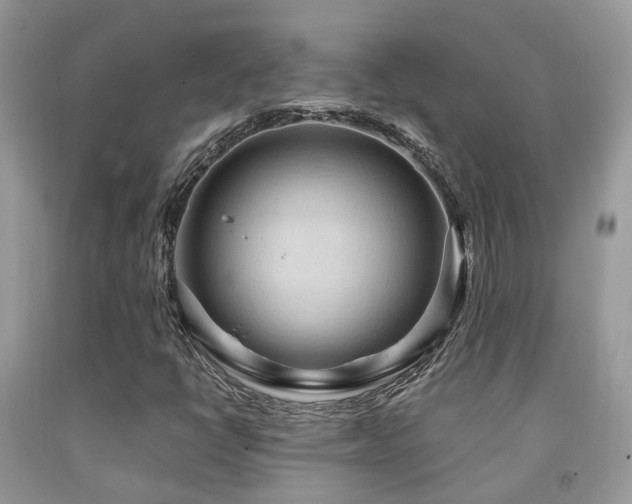 X0000092001398200709061429