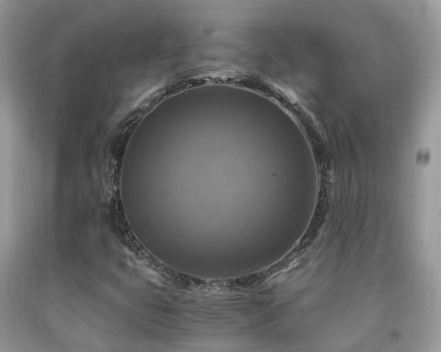 X0000092001399200709061429