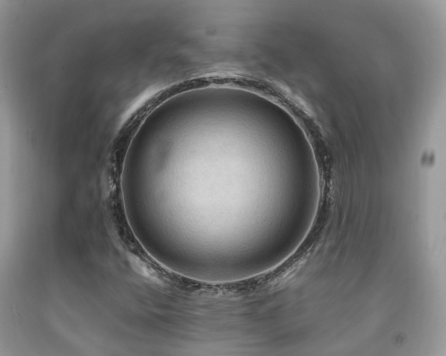 X0000092001400200709061429