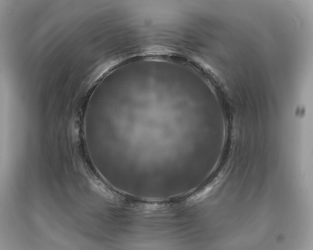 X0000092001401200709061429