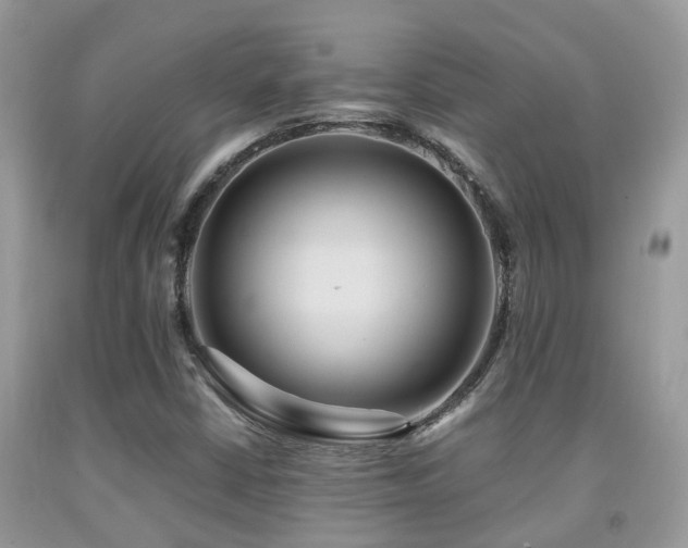 X0000092001402200709061429