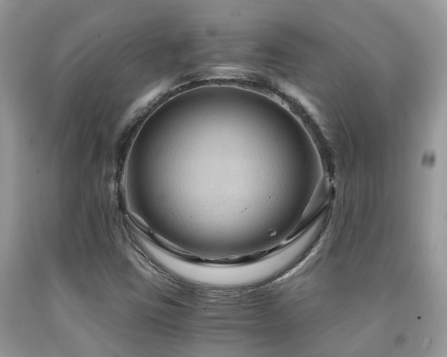 X0000092001403200709061429