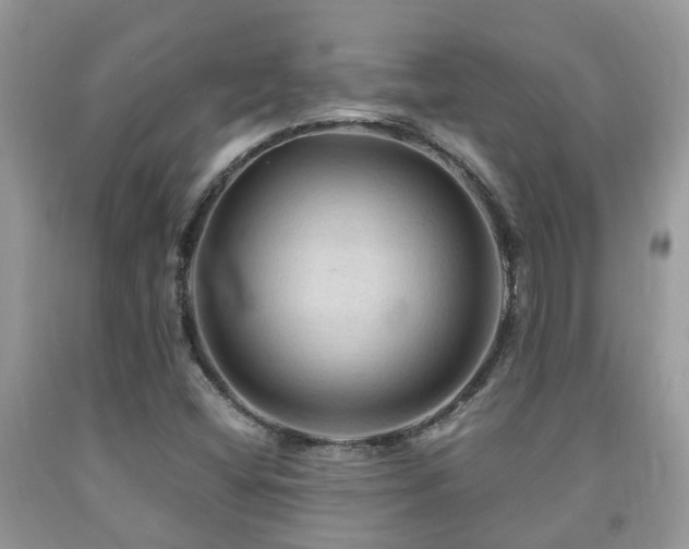 X0000092001404200709061429
