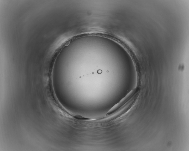 X0000092001407200709061429