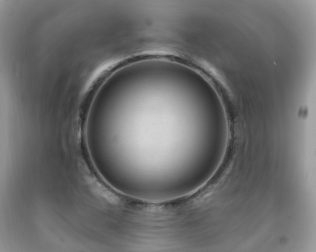 X0000092001408200709061429