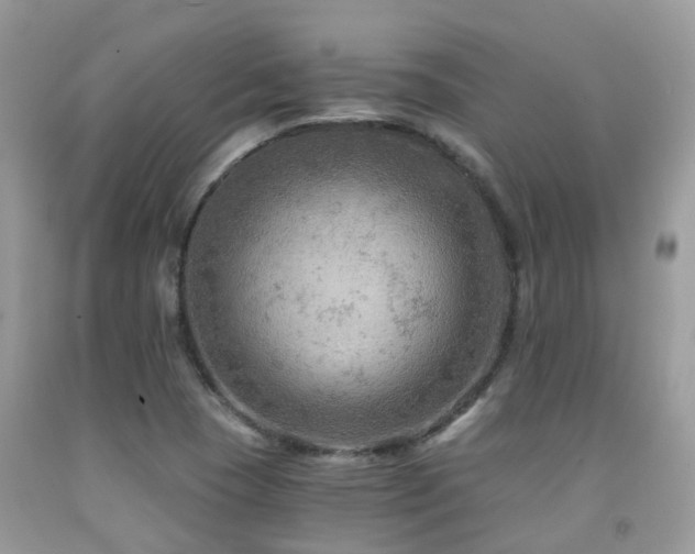 X0000092001409200709061429