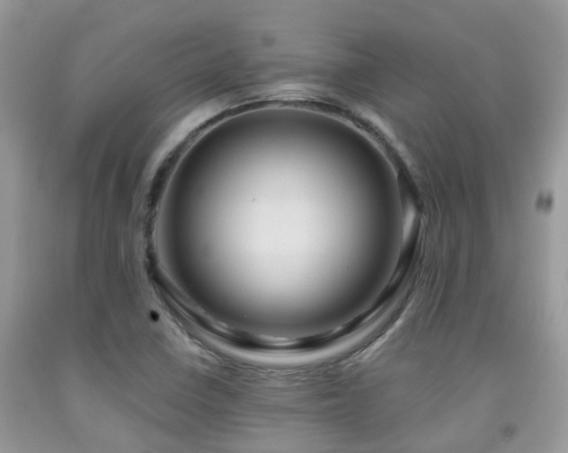 X0000092001410200709061429