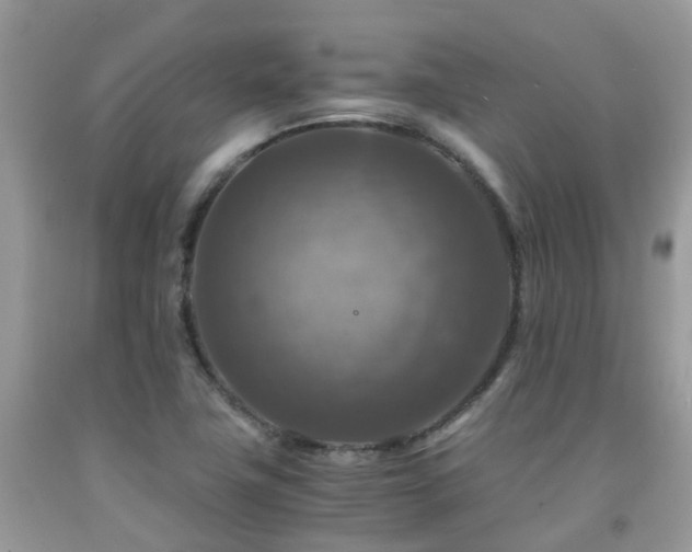 X0000092001411200709061429