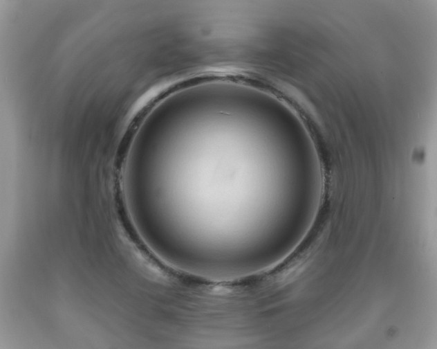 X0000092001412200709061429