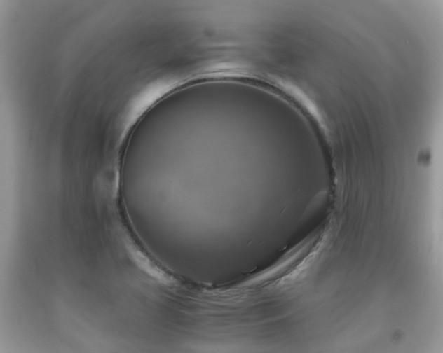 X0000092001413200709061429