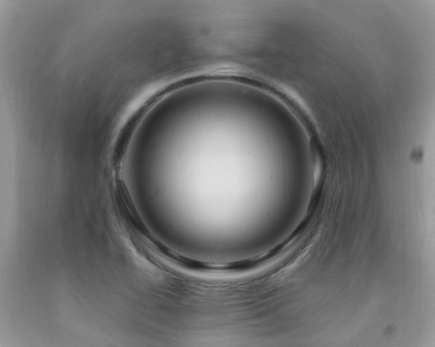 X0000092001414200709061429