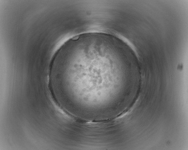 X0000092001415200709061429