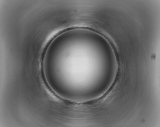 X0000092001416200709061429