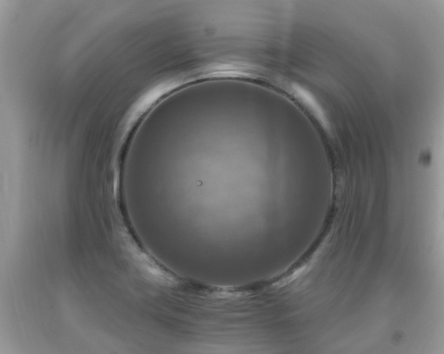 X0000092001419200709061429
