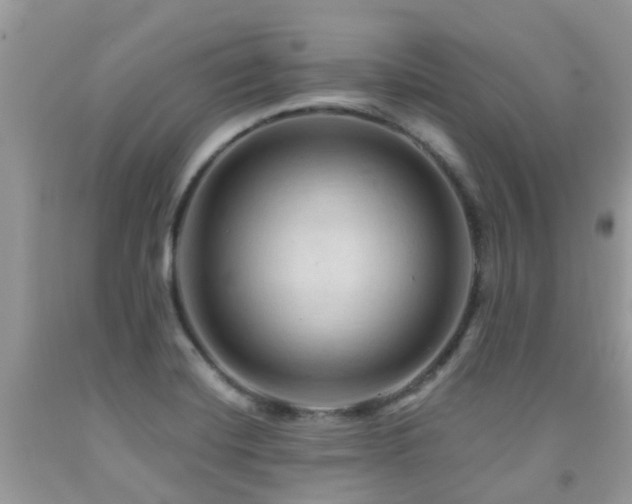 X0000092001420200709061429