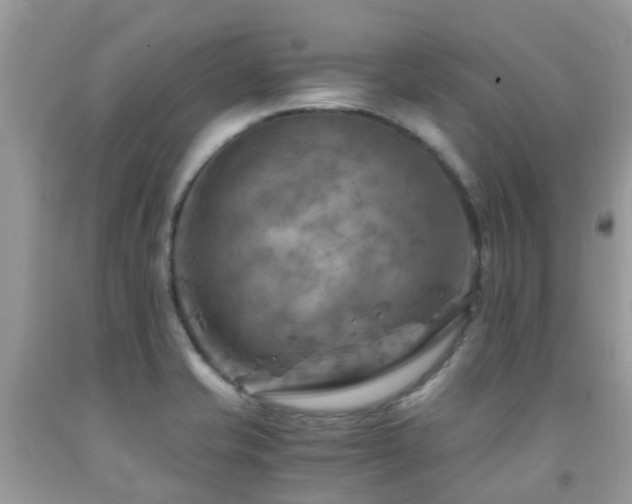 X0000092001421200709061429