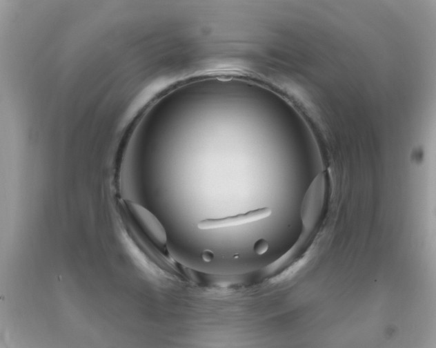 X0000092001422200709061429
