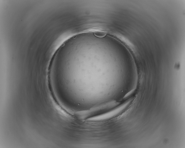 X0000092001423200709061429