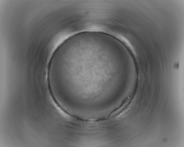 X0000092001424200709061429
