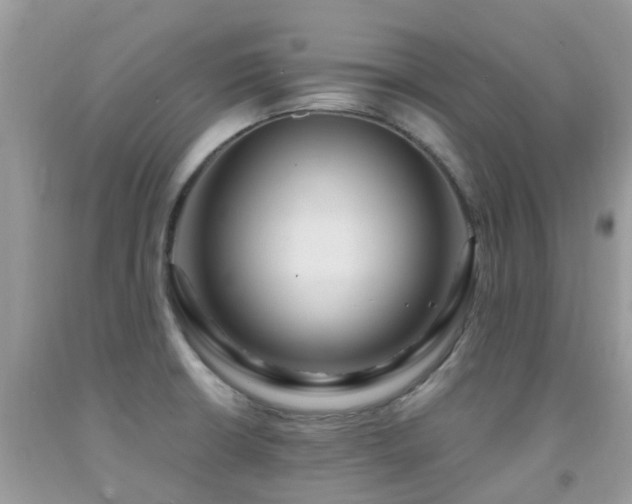 X0000092001426200709061429