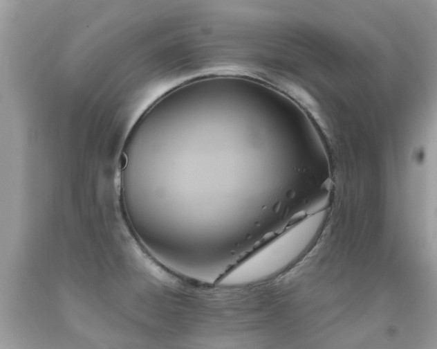 X0000092001428200709061429