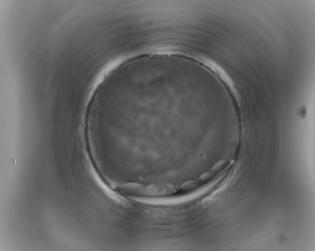 X0000092001429200709061429