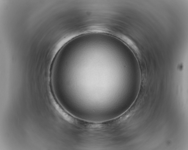 X0000092001431200709061429