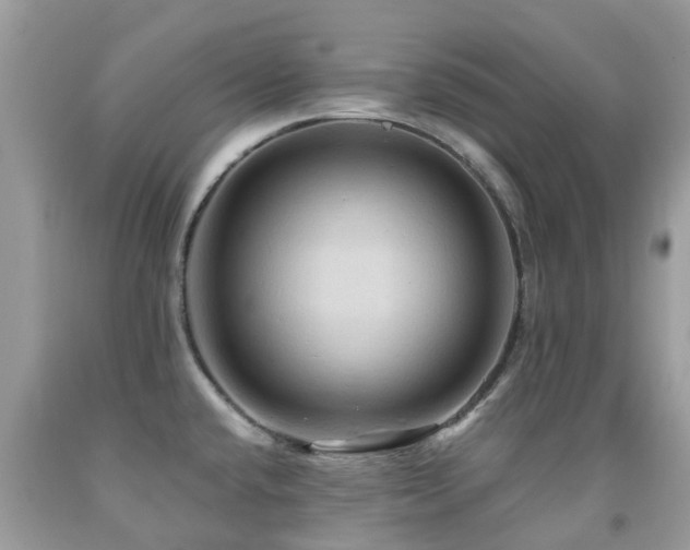 X0000092001432200709061429