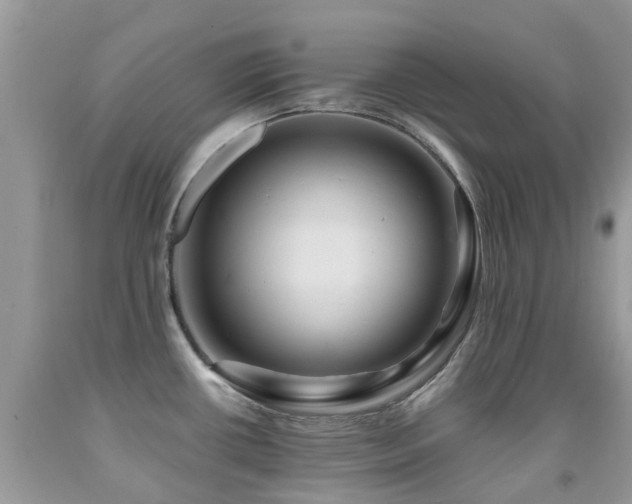 X0000092001434200709061430