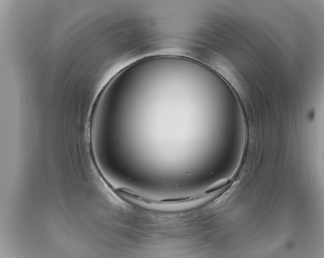 X0000092001436200709061430