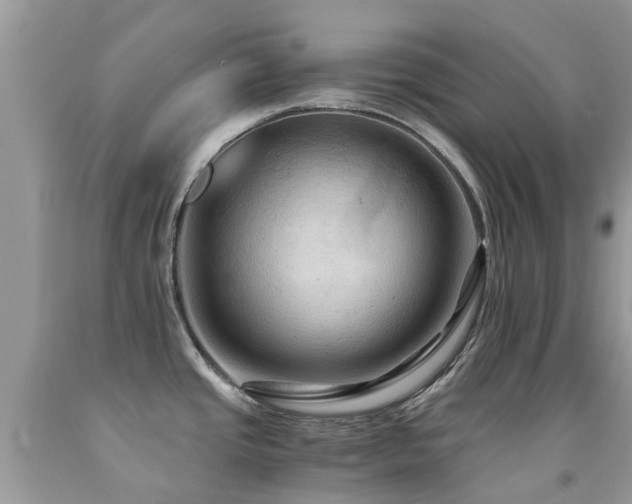 X0000092001437200709061430