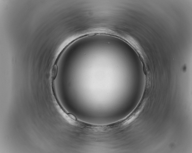 X0000092001438200709061430