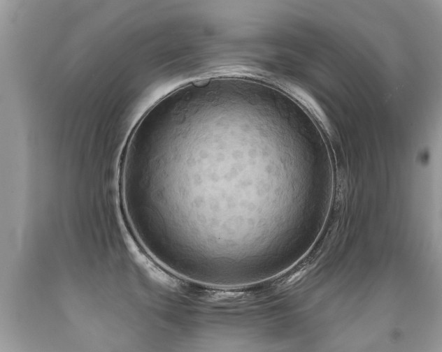 X0000092001439200709061430