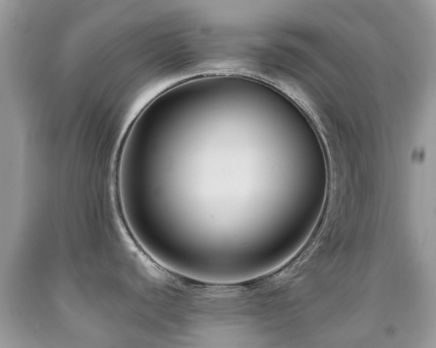 X0000092001440200709061430